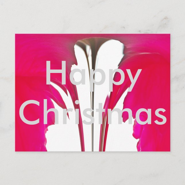 Beautiful Merry Christmas Chic amazing Red rose Holiday Postcard (Front)