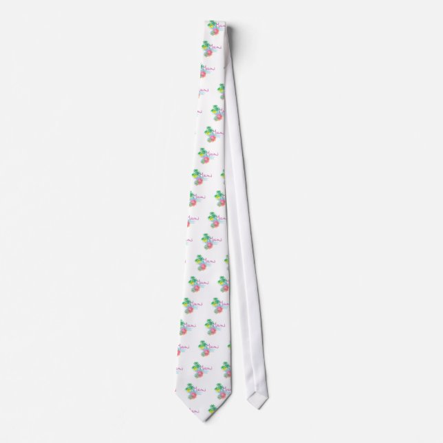Beautiful Miami Florida Tie (Front)