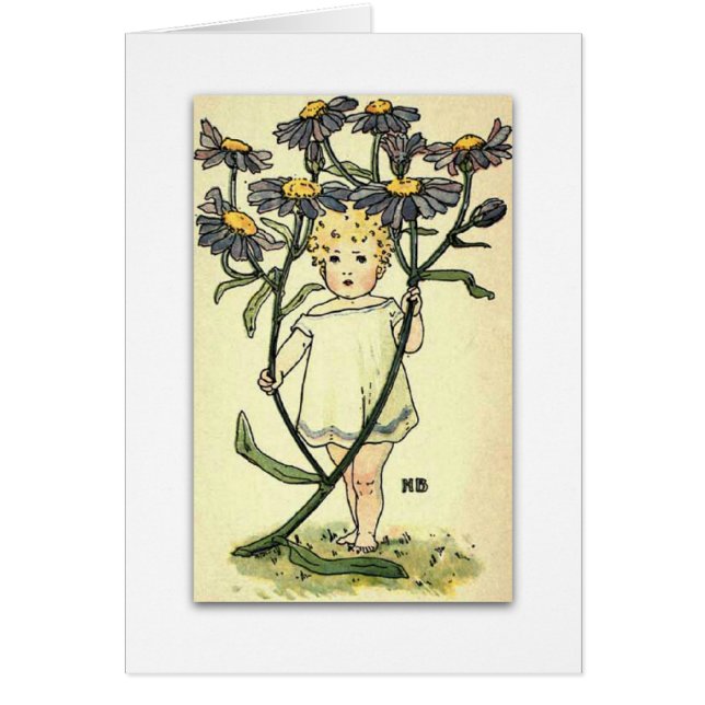 Beautiful Michaelmas Daisy by NELLIE BENSON (Front)