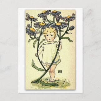 Beautiful Michaelmas Daisy by NELLIE BENSON Postcard