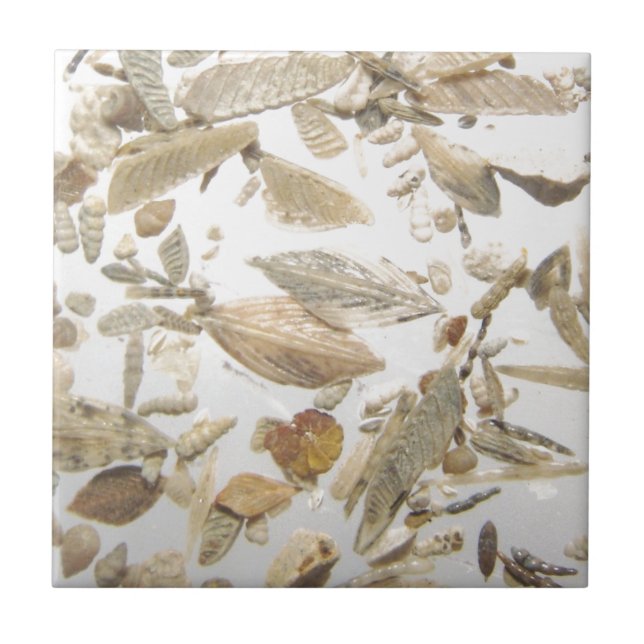 Beautiful microfossils photo pattern tile (Front)