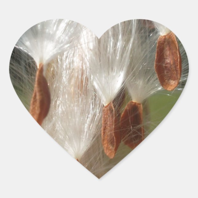 Beautiful Milkweed Magic: A Skyward Flight Design Heart Sticker (Front)