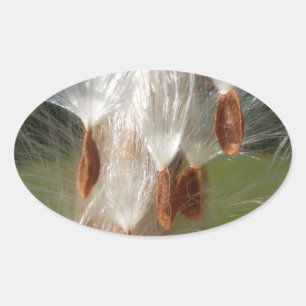 Beautiful Milkweed Magic: A Skyward Flight Design Oval Sticker