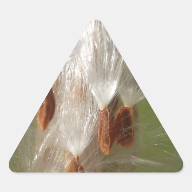 Beautiful Milkweed Magic: A Skyward Flight Design Triangle Sticker (Front)