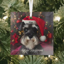 Beautiful Miniature Schnauzer with Santa Hat