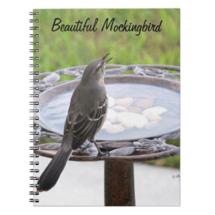 Beautiful Mockingbird Birdbath Notebook