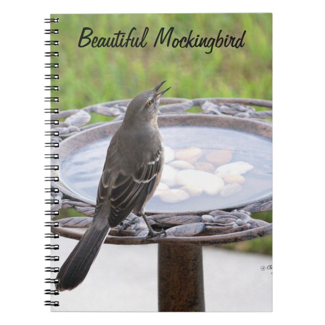 Beautiful Mockingbird Birdbath Notebook (Front)