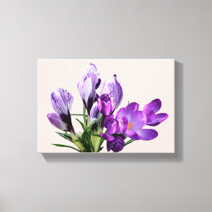 Beautiful moderm pretty purple crocus floral canvas print