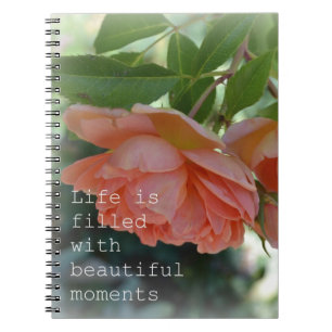 Beautiful Moments Roses Journal Notebook