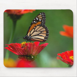 Beautiful Monarch Butterfly Mouse Mat