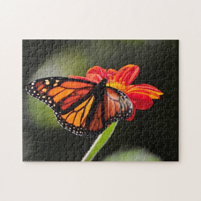 Beautiful Monarch Butterfly - Puzzle (Horizontal)