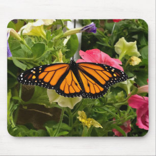 Beautiful Monarch Butterfly Spread Wings Petunia Mouse Mat