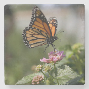 Beautiful Monarch Butterfly Stone Coaster