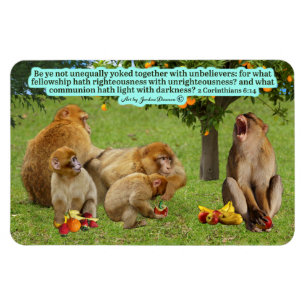 Beautiful Monkey Scripture 2 Corinthians 6:14 Magnet
