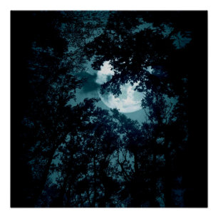 Beautiful Moon Glow Though Trees  Poster
