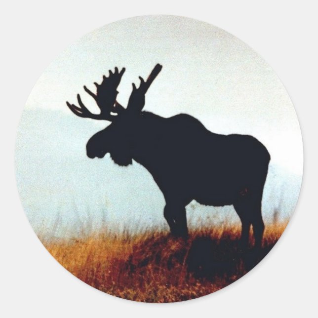 Beautiful Moose Classic Round Sticker (Front)