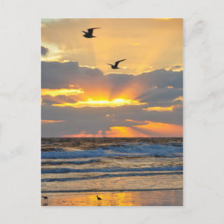 Beautiful Morning Beach Sunrise Scenery Postcard