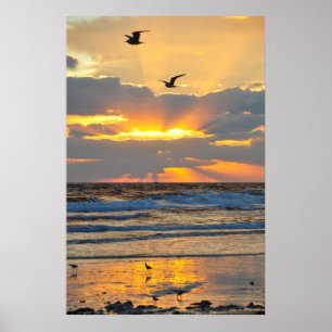 Beautiful Morning Beach Sunrise Scenery Poster