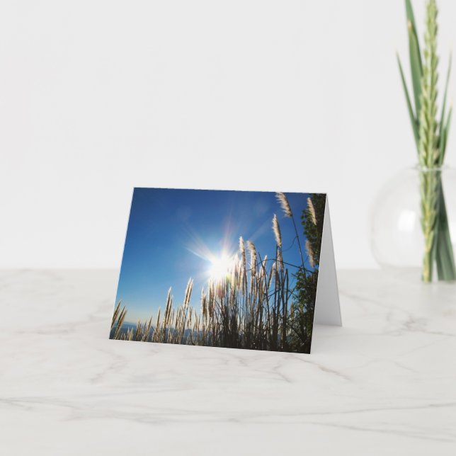 Beautiful Morning Grass Notecard (Front)