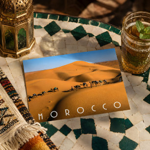 Beautiful Morocco Desert Sahara Camel Riding Trip Postcard