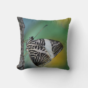 Beautiful Mosaic Zebra Butterfly Cushion