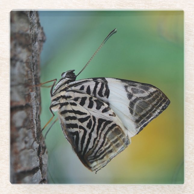 Beautiful Mosaic Zebra Butterfly Glass Coaster (Front)