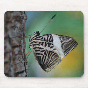 Beautiful Mosaic Zebra Butterfly Mouse Mat