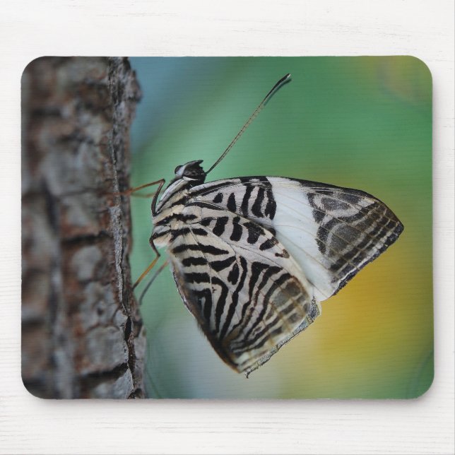 Beautiful Mosaic Zebra Butterfly Mouse Mat (Front)