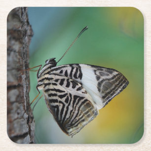 Beautiful Mosaic Zebra Butterfly Square Paper Coaster