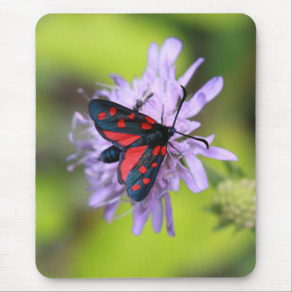 Beautiful Moth Mouse Mat