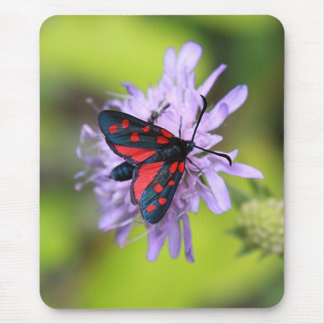 Beautiful Moth Mouse Mat (Front)