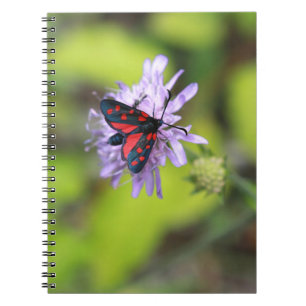 Beautiful Moth Notebook