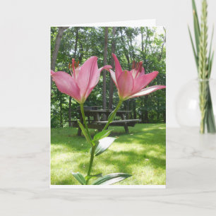 Beautiful Mother's day card. Card