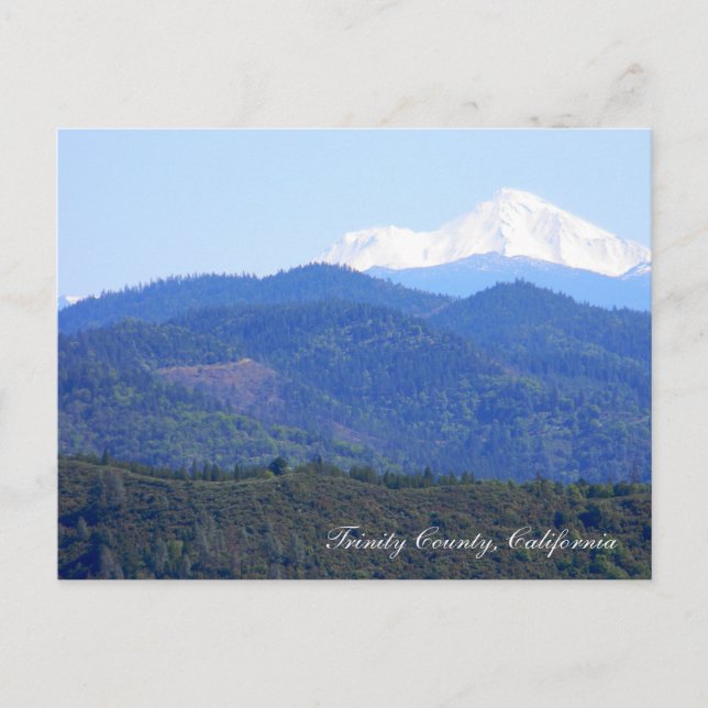 Beautiful Mount Shasta... Postcard (Front)