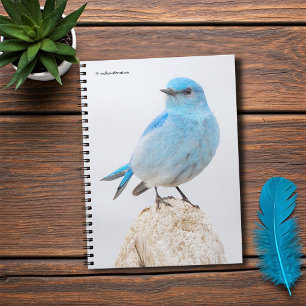 Beautiful Mountain Bluebird at the Beach Notebook