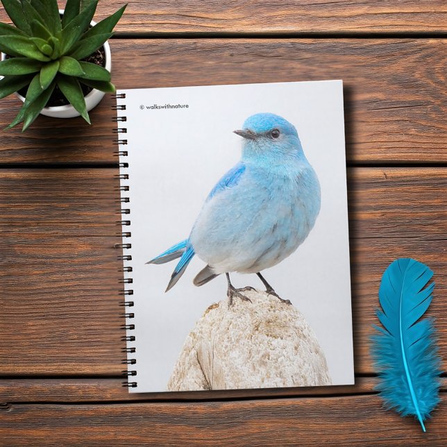 Beautiful Mountain Bluebird at the Beach Notebook (Beautiful Mountain Bluebird at the Beach Journal Cover Photo)