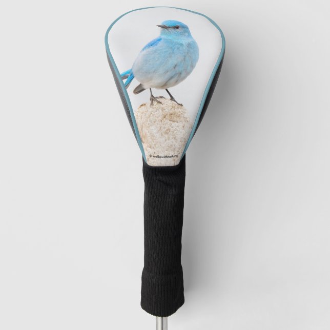 Beautiful Mountain Bluebird on a Stump Golf Head Cover (Front)