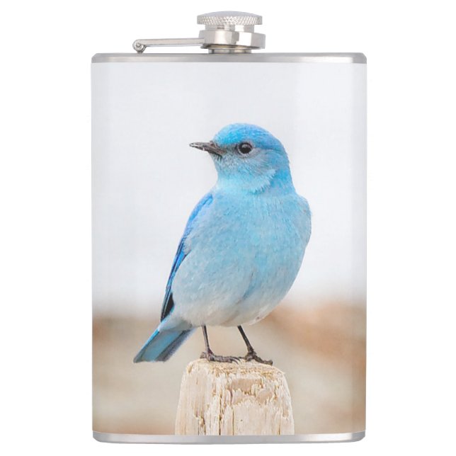 Beautiful Mountain Bluebird on Beach Stump Hip Flask (Front)