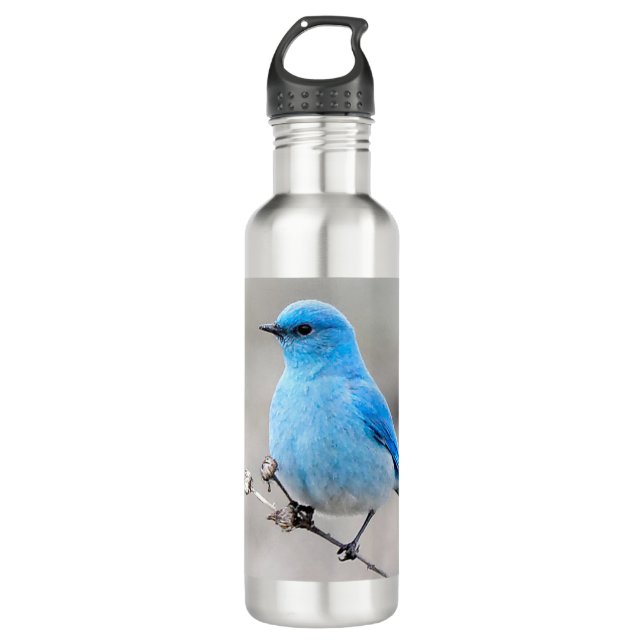 Beautiful Mountain Bluebird on Tansy 710 Ml Water Bottle (Front)