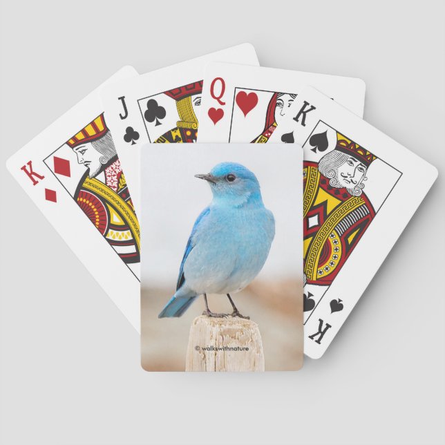 Beautiful Mountain Bluebird on the Beach Playing Cards (Back)