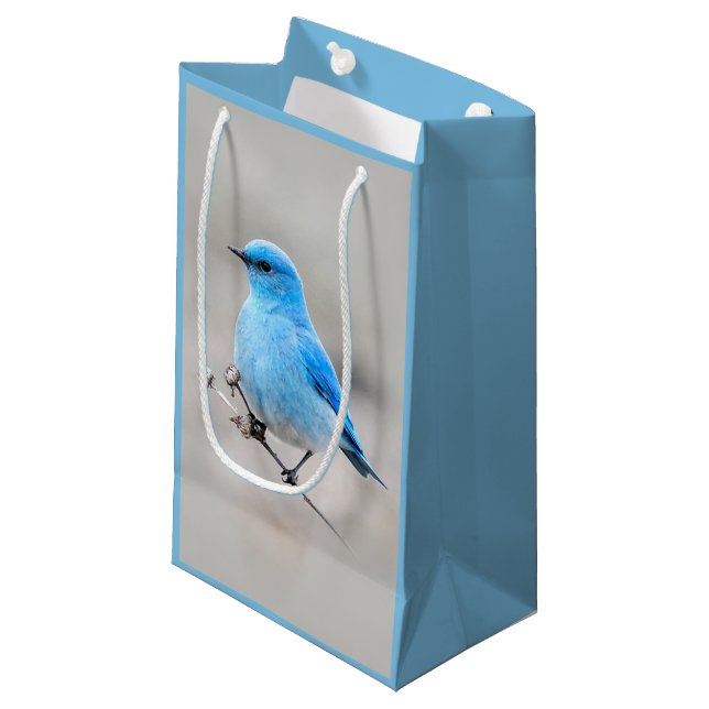 Beautiful Mountain Bluebird on the Tansy Small Gift Bag (Front Angled)