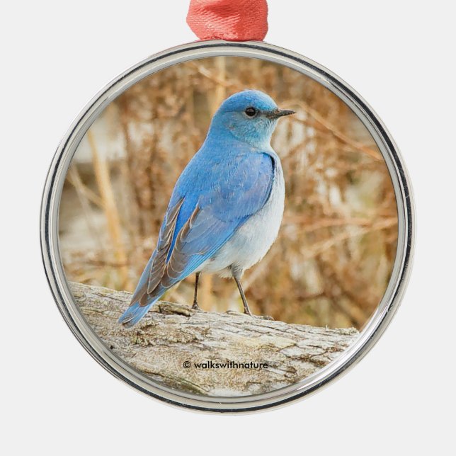Beautiful Mountain Bluebird Songbird on Log Metal Tree Decoration (Front)