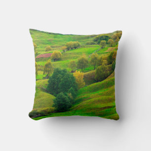 Beautiful mountain landscape in evening sunlight.  cushion