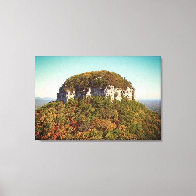 Beautiful Mountain Scenery Canvas Print (Front)