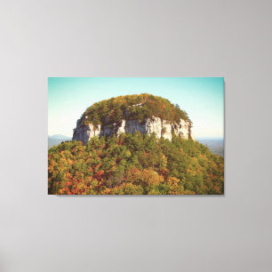Beautiful Mountain Scenery Canvas Print