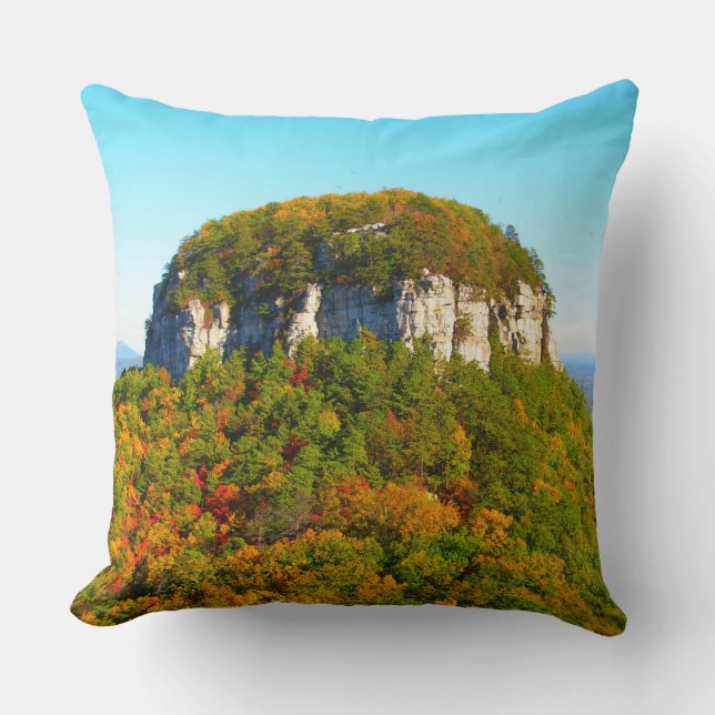 Beautiful Mountain Scenery Cushion (Front)