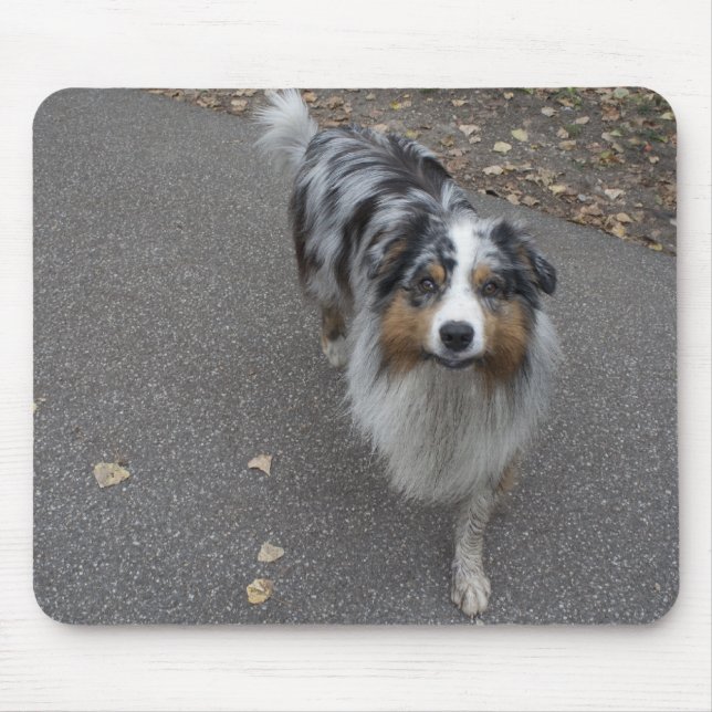Beautiful Multi-coloured Aussie Mouse Mat (Front)