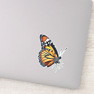 Beautiful Multicolored Butterfly