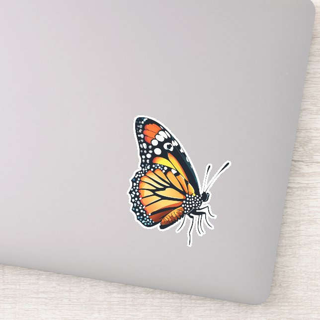 Beautiful Multicolored Butterfly (Detail)