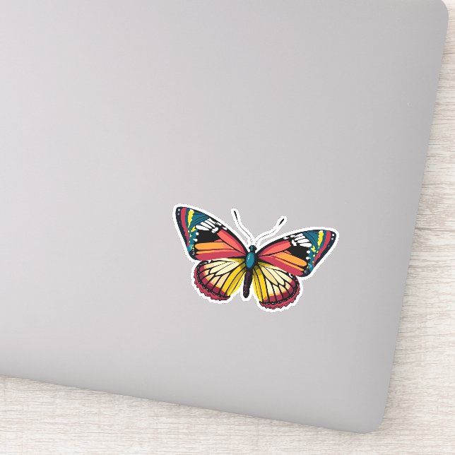 Beautiful Multicolored Butterfly (Detail)